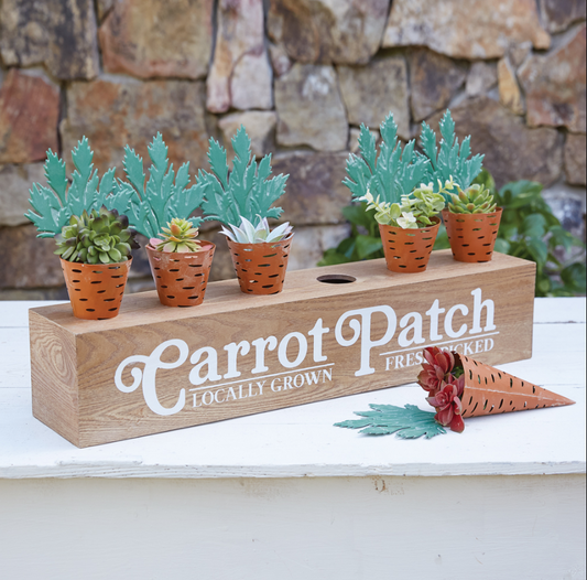 Carrot Patch Display Box