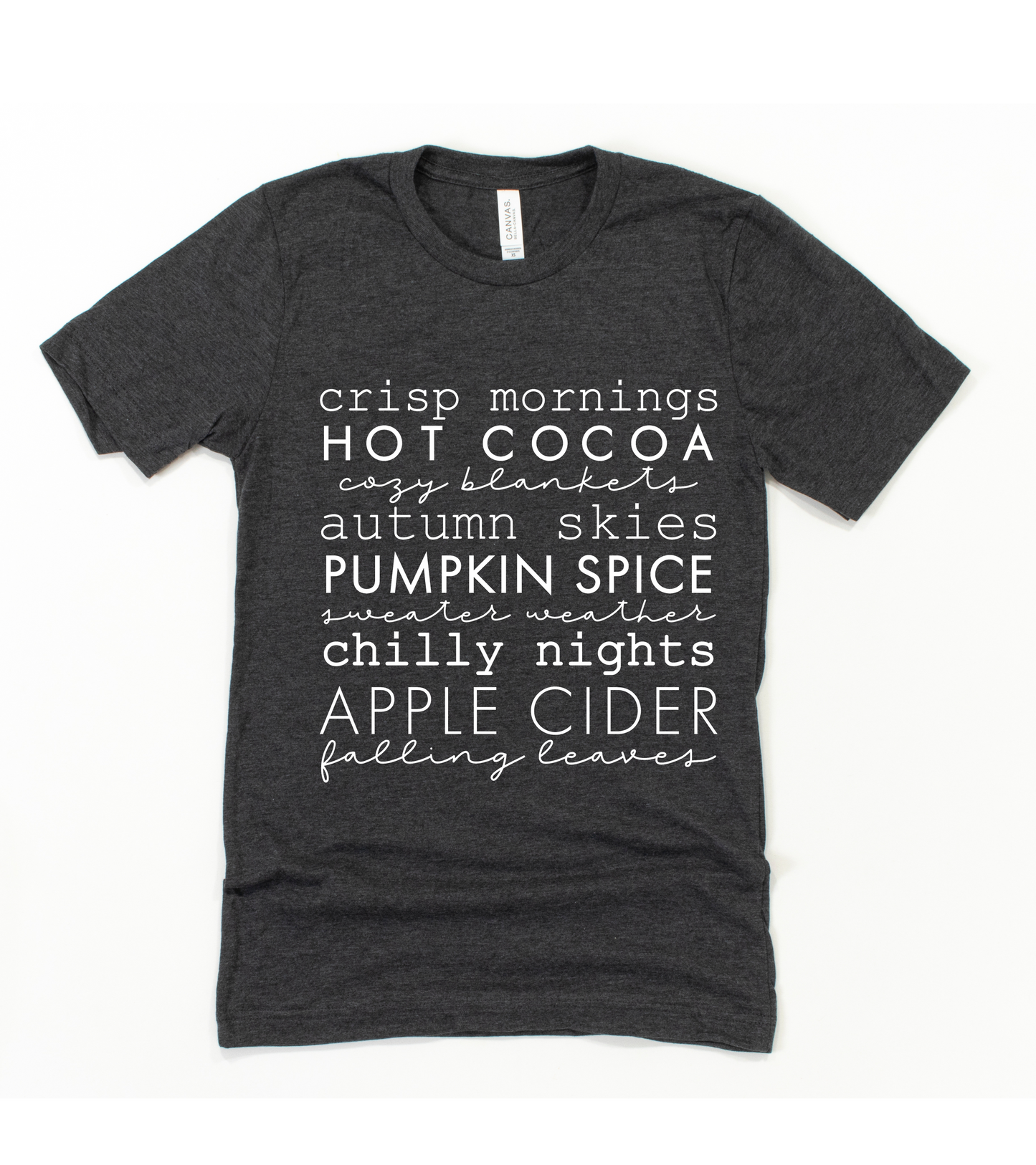 FUN FALL WORDS (BELLA CANVAS T-Shirt) (K) Mischa Lottie